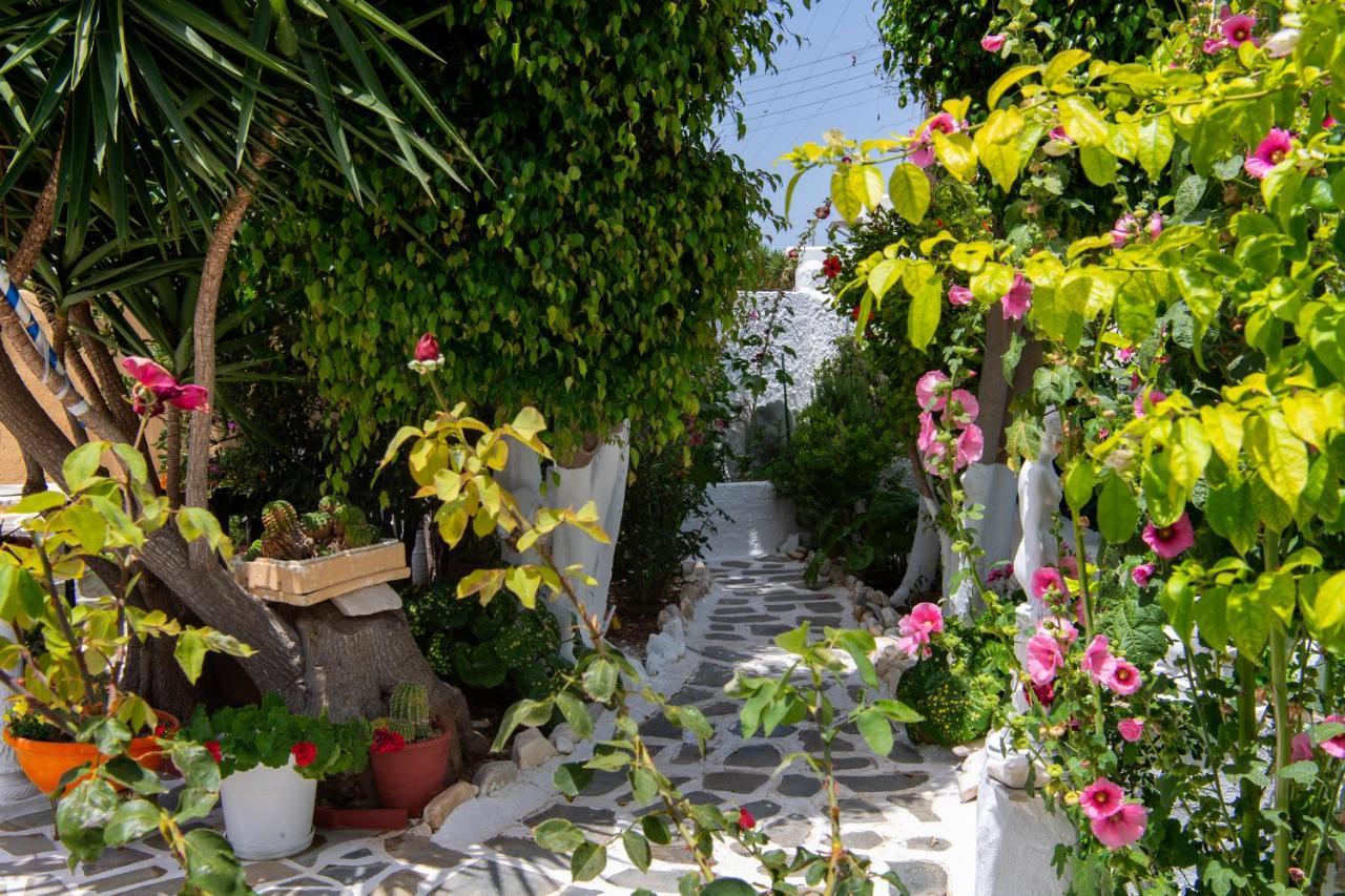 Ricos Two Bedroom House - Naoussa Paros 외부 사진
